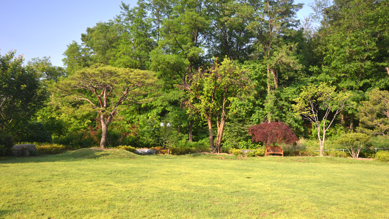 ducksogarden1.JPG